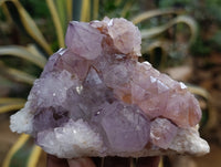 Natural Dark Amethyst Spirit Quartz Clusters x 3 From Boekenhouthoek, South Africa - Toprock Gemstones and Minerals