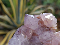 Natural Dark Amethyst Spirit Quartz Clusters x 3 From Boekenhouthoek, South Africa - Toprock Gemstones and Minerals
