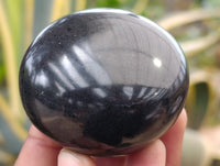 Polished Black Basalt Palm Stones x 12 From Antsirabe, Madagascar - Toprock Gemstones and Minerals