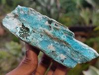Natural Drusy Coated Chrysocolla Specimens x 12 From Likasi, Congo - Toprock Gemstones and Minerals