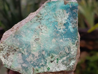 Natural Drusy Coated Chrysocolla Specimens x 12 From Likasi, Congo - Toprock Gemstones and Minerals