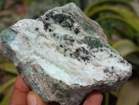 Natural Drusy Coated Chrysocolla Specimens x 12 From Likasi, Congo - Toprock Gemstones and Minerals