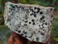 Natural Drusy Coated Chrysocolla Specimens x 12 From Likasi, Congo - Toprock Gemstones and Minerals