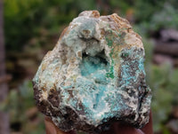 Natural Drusy Coated Chrysocolla Specimens x 12 From Likasi, Congo - Toprock Gemstones and Minerals