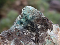 Natural Drusy Coated Chrysocolla Specimens x 12 From Likasi, Congo - Toprock Gemstones and Minerals