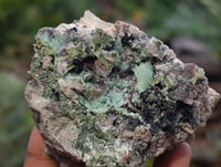 Natural Drusy Coated Chrysocolla Specimens x 12 From Likasi, Congo - Toprock Gemstones and Minerals