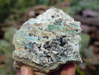 Natural Drusy Coated Chrysocolla Specimens x 12 From Likasi, Congo - Toprock Gemstones and Minerals