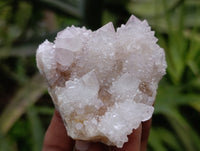 Natural Amethyst Spirit Quartz Clusters x 6 From Boekenhouthoek, South Africa - Toprock Gemstones and Minerals