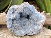 Natural Blue Celestite Geode Specimen x 1 From Sakoany, Madagascar - Toprock Gemstones and Minerals
