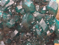 Natural Dioptase On Dolomite Specimens x 6 From Likasi, Congo - Toprock Gemstones and Minerals