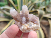 Natural Amethyst Spirit Quartz Clusters x 35 From Boekenhouthoek, South Africa - Toprock Gemstones and Minerals