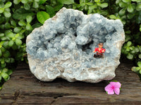 Natural Large Blue Celestite Geode Specimen x 1 From Sakoany, Madagascar - Toprock Gemstones and Minerals