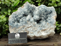 Natural Large Blue Celestite Geode Specimen x 1 From Sakoany, Madagascar - Toprock Gemstones and Minerals