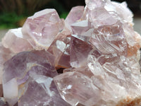 Natural Jacaranda Amethyst Quartz Cluster x 2 From Mumbwa, Zambia - Toprock Gemstones and Minerals
