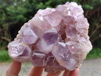 Natural Jacaranda Amethyst Quartz Cluster x 2 From Mumbwa, Zambia - Toprock Gemstones and Minerals