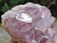 Natural Jacaranda Amethyst Quartz Cluster x 2 From Mumbwa, Zambia - Toprock Gemstones and Minerals