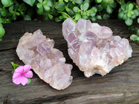 Natural Jacaranda Amethyst Quartz Cluster x 2 From Mumbwa, Zambia - Toprock Gemstones and Minerals