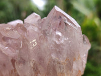 Natural Jacaranda Amethyst Quartz Cluster x 2 From Mumbwa, Zambia - Toprock Gemstones and Minerals