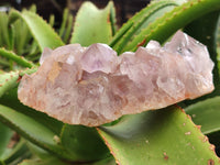 Natural Jacaranda Amethyst Quartz Cluster x 2 From Mumbwa, Zambia - Toprock Gemstones and Minerals