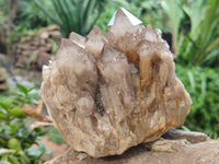 Natural Smokey Phantom Quartz Clusters x 2 From Luena, Congo - Toprock Gemstones and Minerals