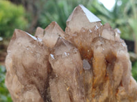 Natural Smokey Phantom Quartz Clusters x 2 From Luena, Congo - Toprock Gemstones and Minerals