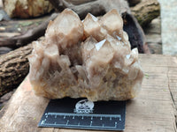 Natural Smokey Phantom Quartz Clusters x 2 From Luena, Congo - Toprock Gemstones and Minerals