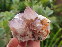 Natural Dark Amethyst Spirit Quartz Clusters x 6 From Boekenhouthoek, South Africa - Toprock Gemstones and Minerals