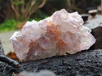 Natural Dark Amethyst Spirit Quartz Clusters x 6 From Boekenhouthoek, South Africa - Toprock Gemstones and Minerals