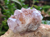 Natural Dark Amethyst Spirit Quartz Clusters x 6 From Boekenhouthoek, South Africa - Toprock Gemstones and Minerals