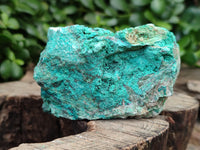Natural Shattuckite with Chrysocolla Cobbed Specimens x 12 From Kaokoveld, Namibia - Toprock Gemstones and Minerals
