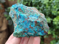 Natural Shattuckite with Chrysocolla Cobbed Specimens x 12 From Kaokoveld, Namibia - Toprock Gemstones and Minerals