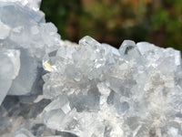 Natural Celestite Geode Specimen x 1 From Sakoany, Madagascar - Toprock Gemstones and Minerals