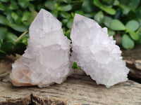 Natural Amethyst Cactus Spirit Quartz Clusters x 12 From Boekenhouthoek, South Africa - Toprock Gemstones and Minerals
