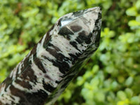 Polished Gabbro Merlinite Points x 2 From Ambatofinandrahana, Madagascar - Toprock Gemstones and Minerals