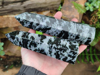 Polished Gabbro Merlinite Points x 2 From Ambatofinandrahana, Madagascar - Toprock Gemstones and Minerals