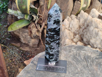 Polished Gabbro Merlinite Points x 2 From Ambatofinandrahana, Madagascar - Toprock Gemstones and Minerals