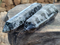 Polished Gabbro Merlinite Points x 2 From Ambatofinandrahana, Madagascar - Toprock Gemstones and Minerals