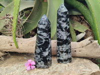 Polished Gabbro Merlinite Points x 2 From Ambatofinandrahana, Madagascar - Toprock Gemstones and Minerals