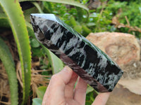 Polished Gabbro Merlinite Points x 2 From Ambatofinandrahana, Madagascar - Toprock Gemstones and Minerals