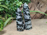 Polished Gabbro Merlinite Points x 2 From Ambatofinandrahana, Madagascar - Toprock Gemstones and Minerals