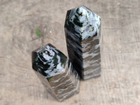 Polished Gabbro Merlinite Points x 2 From Ambatofinandrahana, Madagascar - Toprock Gemstones and Minerals