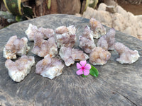 Natural Dark Amethyst Spirit Quartz Clusters x 12 From Boekenhouthoek, South Africa - Toprock Gemstones and Minerals