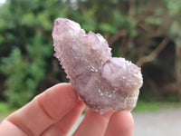 Natural Dark Amethyst Spirit Quartz Clusters x 12 From Boekenhouthoek, South Africa - Toprock Gemstones and Minerals