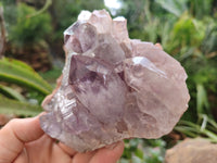Natural Jacaranda Amethyst Quartz Cluster x 2 From Mumbwa, Zambia - Toprock Gemstones and Minerals