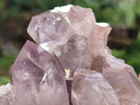 Natural Jacaranda Amethyst Quartz Cluster x 2 From Mumbwa, Zambia - Toprock Gemstones and Minerals