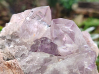 Natural Jacaranda Amethyst Quartz Cluster x 2 From Mumbwa, Zambia - Toprock Gemstones and Minerals