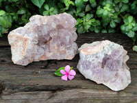 Natural Jacaranda Amethyst Quartz Cluster x 2 From Mumbwa, Zambia - Toprock Gemstones and Minerals