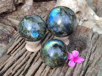 Polished Labradorite Spheres x 3 From Tulear, Madagascar - Toprock Gemstones and Minerals