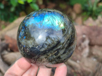 Polished Labradorite Spheres x 3 From Tulear, Madagascar - Toprock Gemstones and Minerals