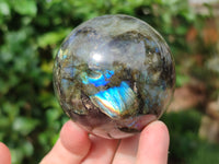 Polished Labradorite Spheres x 3 From Tulear, Madagascar - Toprock Gemstones and Minerals